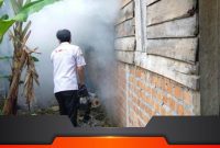 Petugas kesehatan melakukan fogging guna menekan maraknya kasus DBD di Mesuji