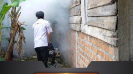 Petugas kesehatan melakukan fogging guna menekan maraknya kasus DBD di Mesuji