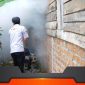 Petugas kesehatan melakukan fogging guna menekan maraknya kasus DBD di Mesuji