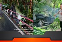 LOKASI kejadian kecelakaan tunggal di Jalan Lintas Barat Pekon Kota Karang, Kecamatan Pesisir Utara Kabupaten Pesisir Barat, Senin (6/1/2025).