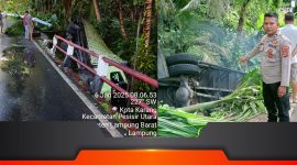 LOKASI kejadian kecelakaan tunggal di Jalan Lintas Barat Pekon Kota Karang, Kecamatan Pesisir Utara Kabupaten Pesisir Barat, Senin (6/1/2025).