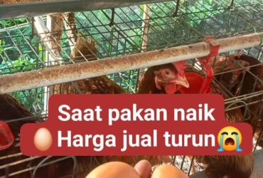 headline-foto