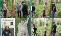 Ungkap Kasus Pencurian Betah Karet, Polsek Rambang Amankan Pelaku Setelah Dikepung Warga