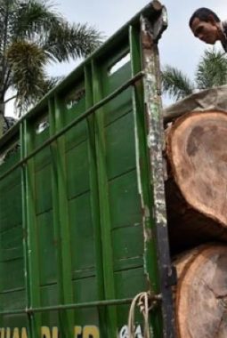 Kemenhut Tangkap Dua Pembalak di Hutan Lindung Lampung Selatan